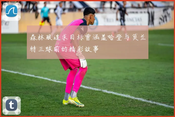 森林狼追求目标曾涵盖哈登与莫兰特三球前的精彩故事